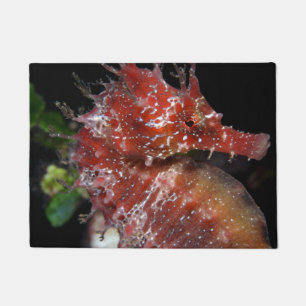 Seahorse Pony Vrouw Begur Deurmat