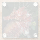 Seahorse | Pony Vrouw Begur Glazen Onderzetter (Achterkant)