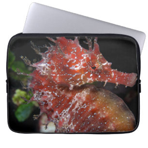 Seahorse Pony Vrouw Begur Laptop Sleeve