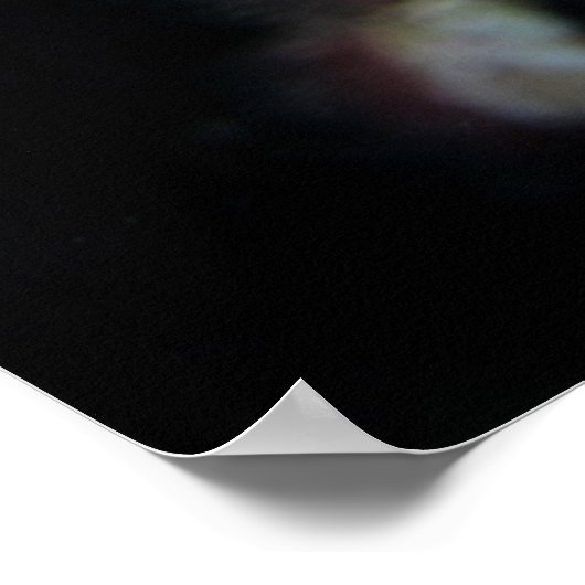 Seahorse | Pony Vrouw Begur Poster (Hoek)