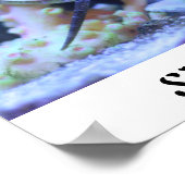 Seahorse Poster (Hoek)