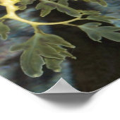 Seahorse poster (Hoek)