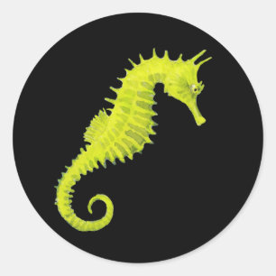 Seahorse Ronde Sticker