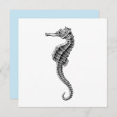 SEAHORSE SEALIFE FLAT KAART (Voorkant / Achterkant)