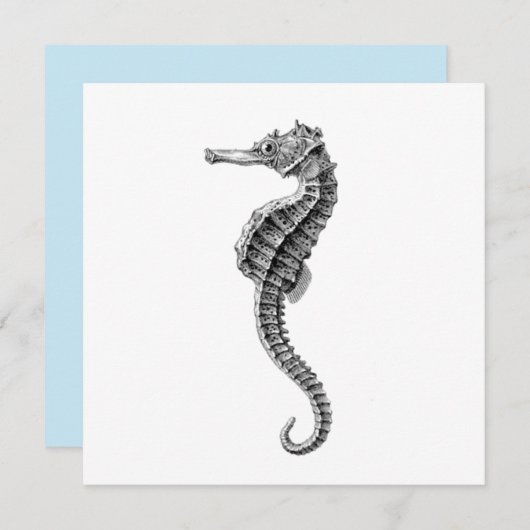 SEAHORSE SEALIFE FLAT KAART (Voorkant / Achterkant)