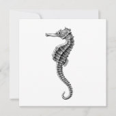 SEAHORSE SEALIFE FLAT KAART (Voorkant)