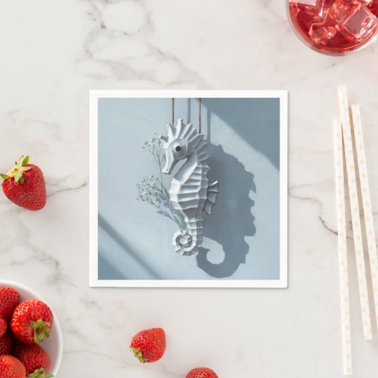 Seahorse Servet (Insitu)