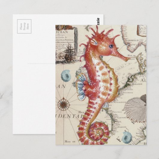 Seahorse Shabby Briefkaart (Voorkant / Achterkant)