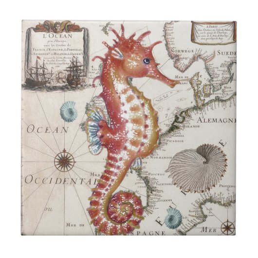 Seahorse Shabby Tegeltje (Voorkant)