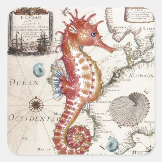 Seahorse Shabby Vierkante Sticker (Voorkant)