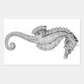 Seahorse Stickers (Voorkant)
