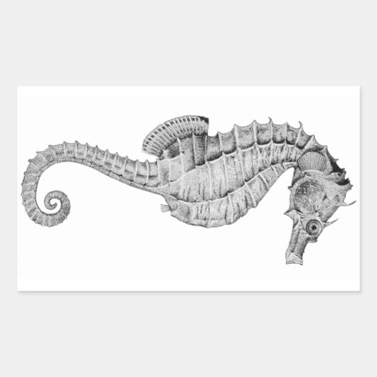 Seahorse Stickers (Voorkant)