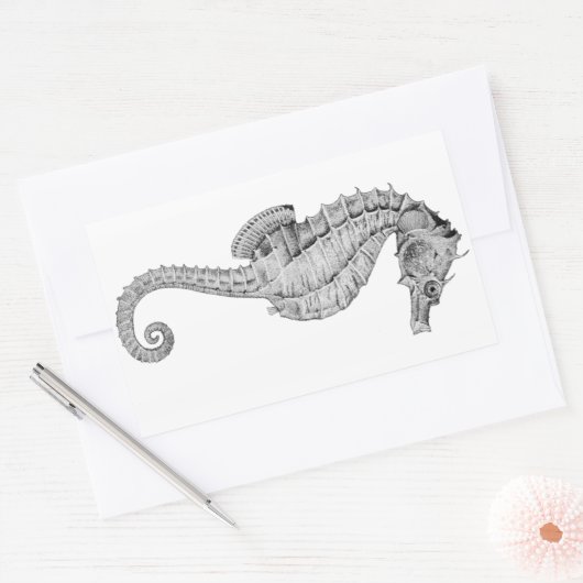 Seahorse Stickers (Envelop)