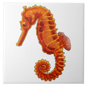 Seahorse Tegeltje