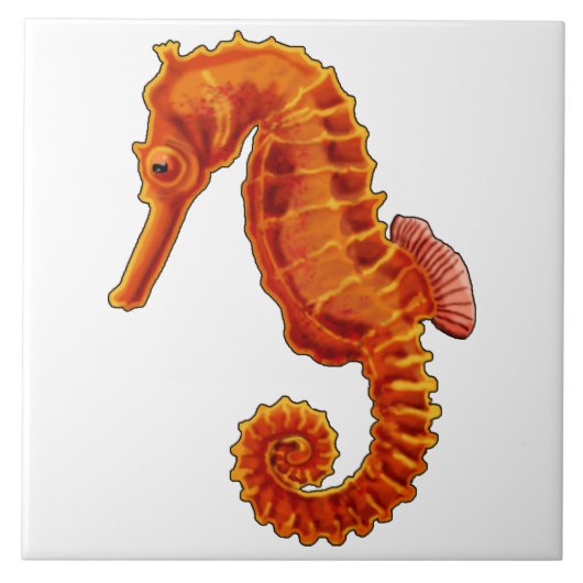 Seahorse Tegeltje (Voorkant)