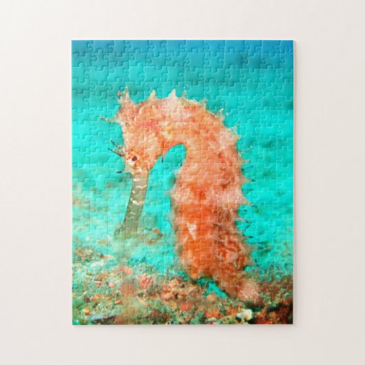 Seahorse tropical carribean turquoise orange legpuzzel (Verticaal)