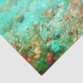 Seahorse tropical carribean turquoise orange  tissuepapier (Detail)