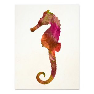 Seahorse Waterverf Silhouette Zee Pink Foto Afdruk