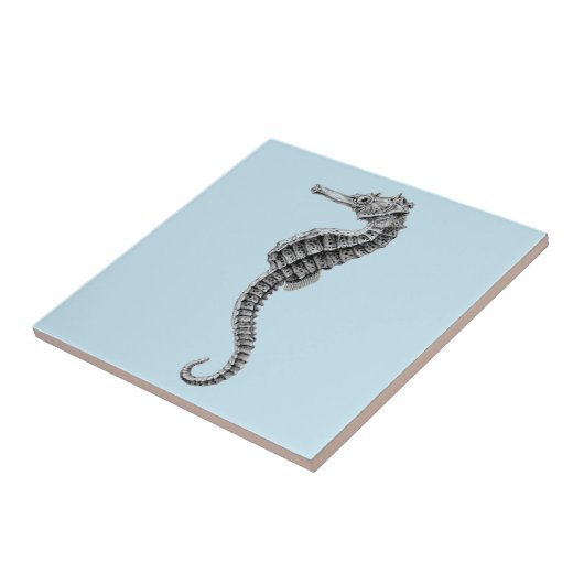 "SEAHORSE" ZEELKERAMISCHE TEGEL TEGELTJE (Zijkant)