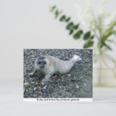 SEAL (2), zegel van de baby van johnson greene Briefkaart (Staand voorkant)