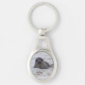 Seal - Animal Photo Afbeelding Oval Metal Sleutelh Sleutelhanger (Voorkant)
