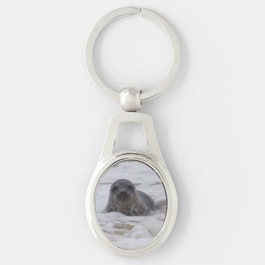 Seal - Animal Photo Afbeelding Oval Metal Sleutelh Sleutelhanger (Voorkant)