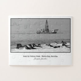 Seal Colony bij Pelican Point Legpuzzel