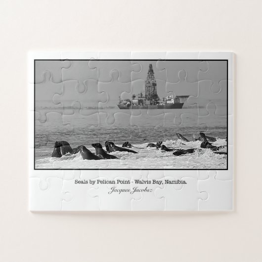 Seal Colony bij Pelican Point Legpuzzel (Horizontaal)