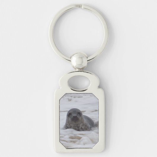Seal - Dierlijk Afbeelding Rechthoek Metalen Sleut Sleutelhanger (Voorkant)