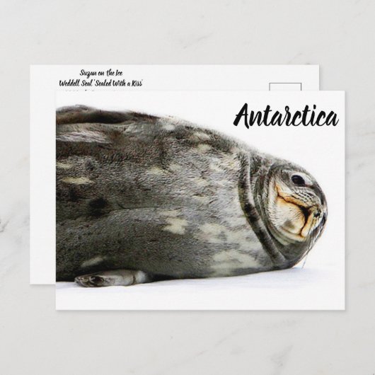 'Seal-ed with a Kiss' Briefkaart (Voorkant / Achterkant)