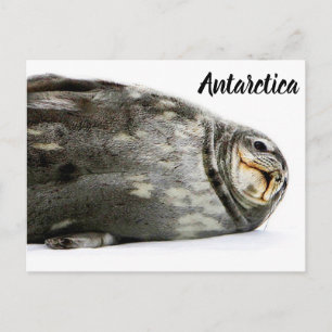 'Seal-ed with a Kiss' Briefkaart