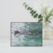 Seal Head Peeks Briefkaart (Staand voorkant)
