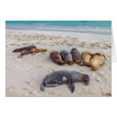 Seal Kaart (Voorkant Horizontaal)