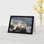 Seal Laughing Ha Ha Happy Birthday Kaart (Gele Bloem)