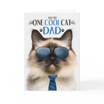 Seal Point Balinese Kat Vaderdag Een Koele Kat