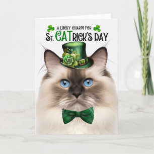 Seal Point Ragdoll Lucky Charm St CATrick's Day Feestdagen Kaart
