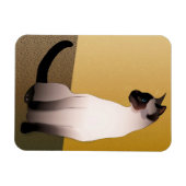 Seal Point Siamese Cat Magneet (Horizontaal)