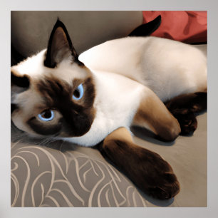Seal Point Siamese Digital Portret Poster