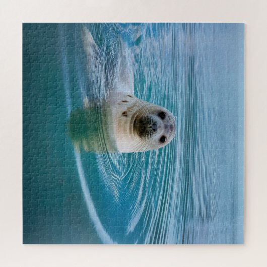 Seal Pup Adventure Legpuzzel (Horizontaal)