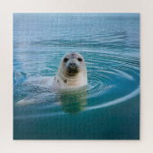 Seal Pup Adventure Legpuzzel (Verticaal)