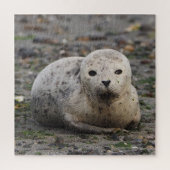 Seal Puzzle Legpuzzel (Verticaal)