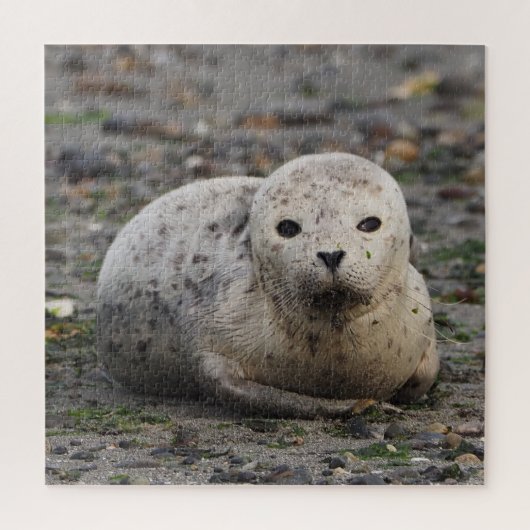Seal Puzzle Legpuzzel (Verticaal)