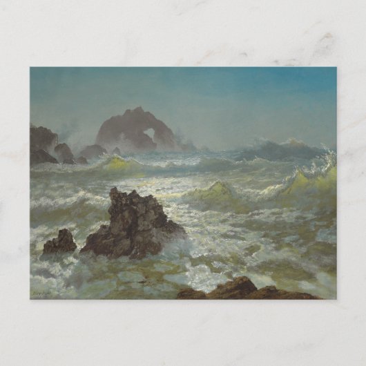 Seal Rock, California, C.1872 Briefkaart (Voorkant)