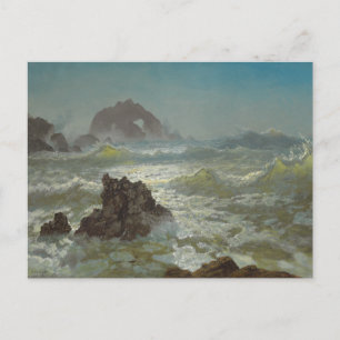 Seal Rock, California, C.1872 Briefkaart