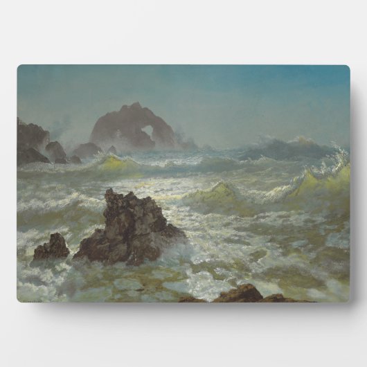 Seal Rock, California, C.1872 Fotoplaat (voorkant)
