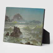 Seal Rock, California, C.1872 Fotoplaat (Zijkant)