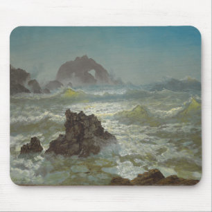 Seal Rock, California, C.1872 Muismat