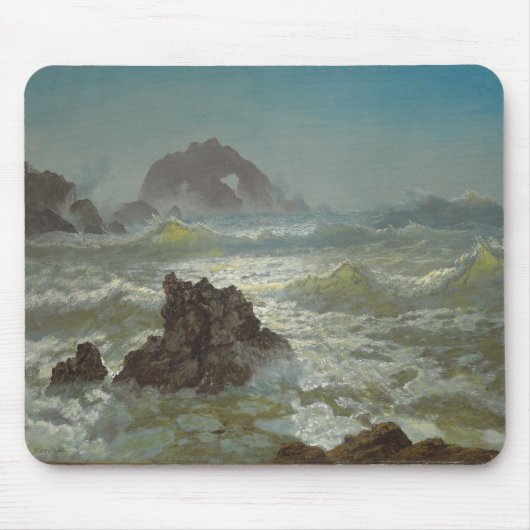 Seal Rock, California, C.1872 Muismat (Voorkant)