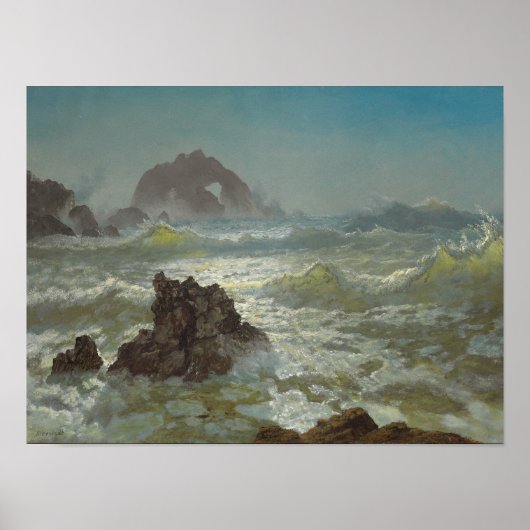 Seal Rock, California, C.1872 Poster (Voorkant)