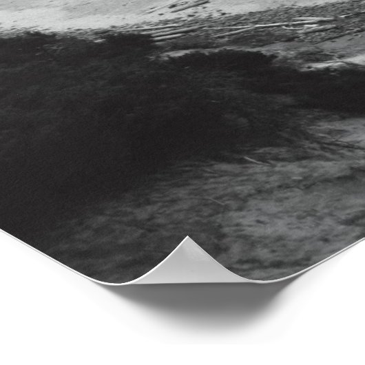 Seal Rock-Duotone Poster (Hoek)